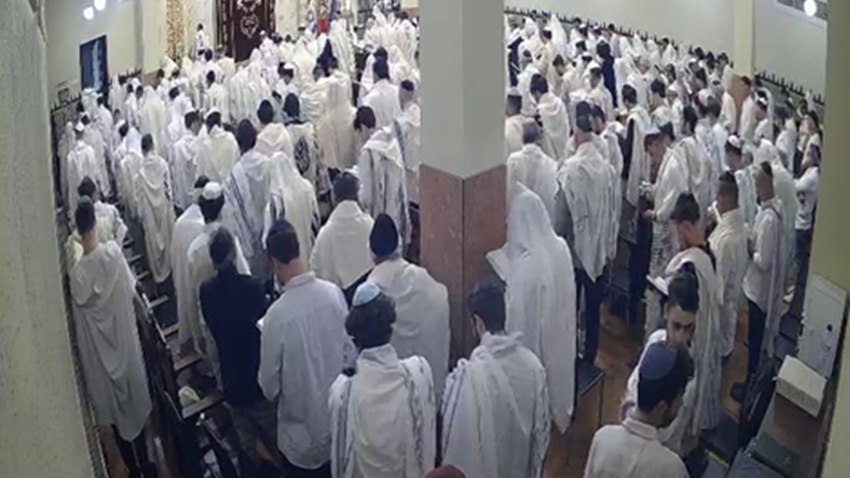 Dvar Torah, By Rav Rosenfeld (Chabad Portugal)