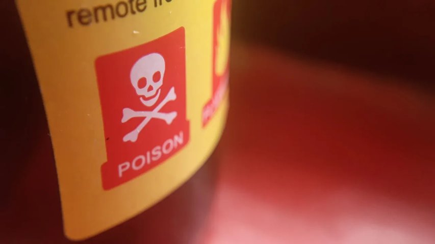 Jewish woman reveals plot to poison Israelis at Boom Festival in Portugal