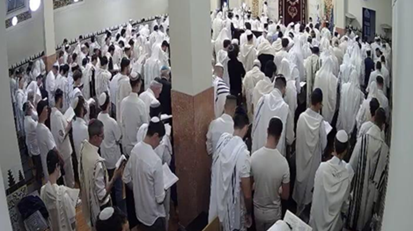 Jewish Community of Porto is already preparing Parashat Eikev, with advice for Portugal