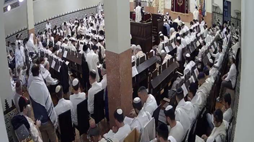 Torah Offers Moral Lessons to Luís Neves, Álvaro Pires, and Albano Pinto