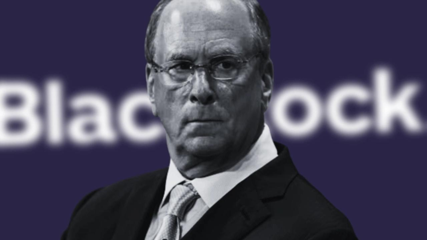 Good news for Portugal. CEO's BlackRock Larry Fink states that the 